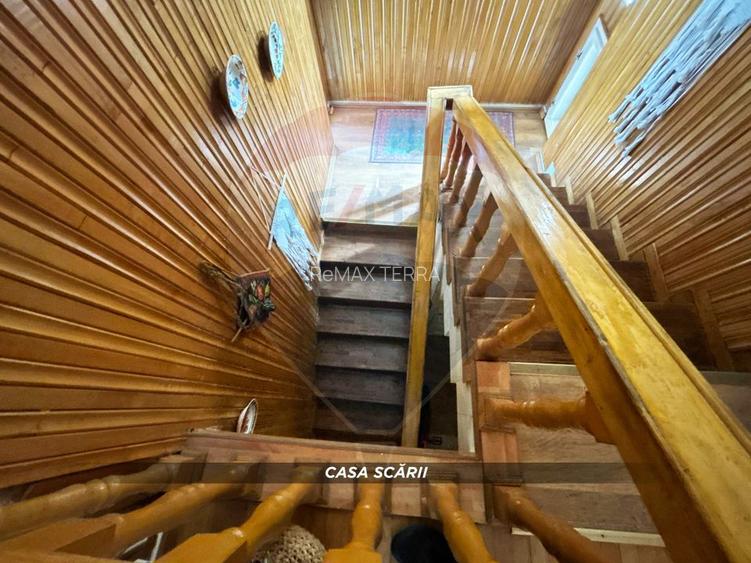 Casă individuala, cu 6 camere 250m2/ 423m2 teren zona parc Baia Mare - 27