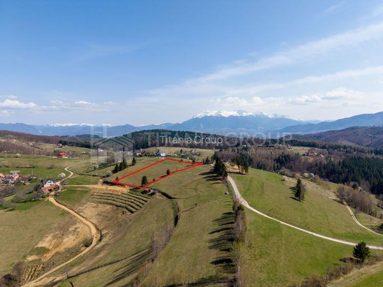 🌿 Teren Intravilan 3.791 mp | Priveliște Panoramică Superbă | Poiana Mărului - 12