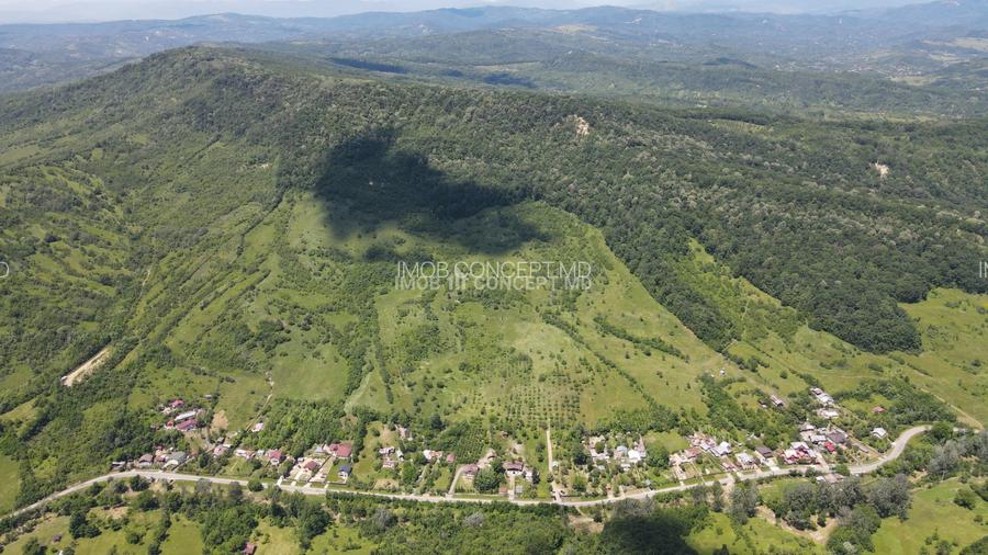 Teren spectaculos cu padure, livada si priveliste panoramica in Soimari PH - 11