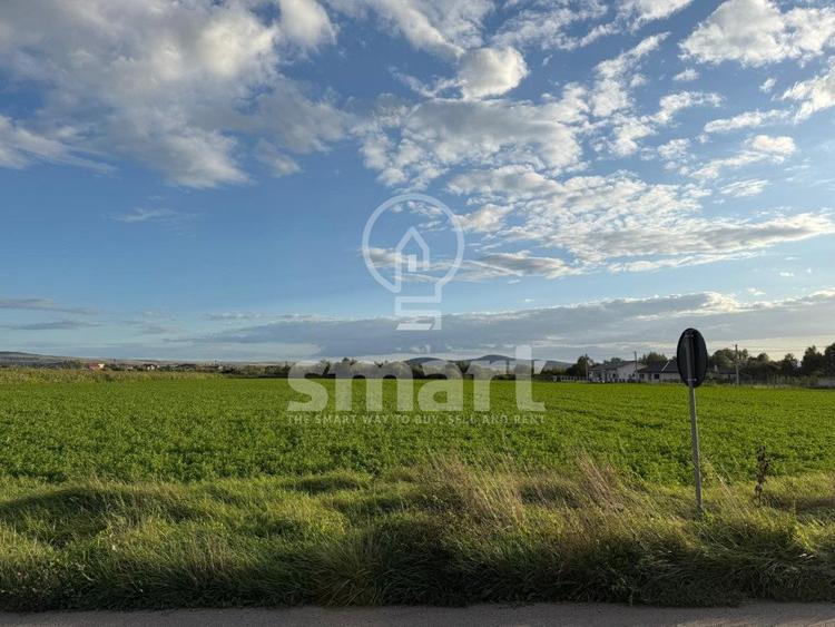 Teren Bistrita Valea Jelnei 19 eur mp