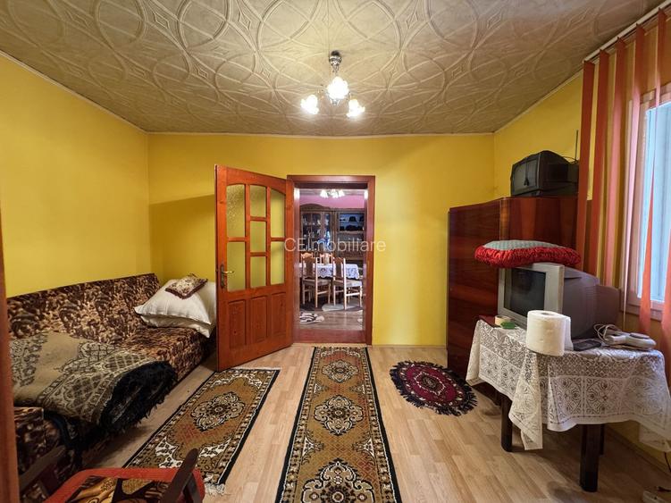Casa in Lugoj pe Str. Fagetului - 6