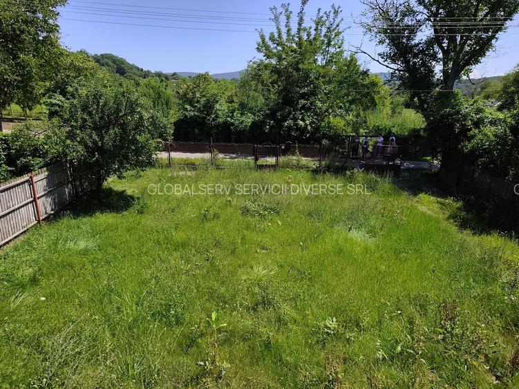 FARA COMISIOANE zona linistita aer curat casa mobilata 3 camere P +M teren 755mp - 6