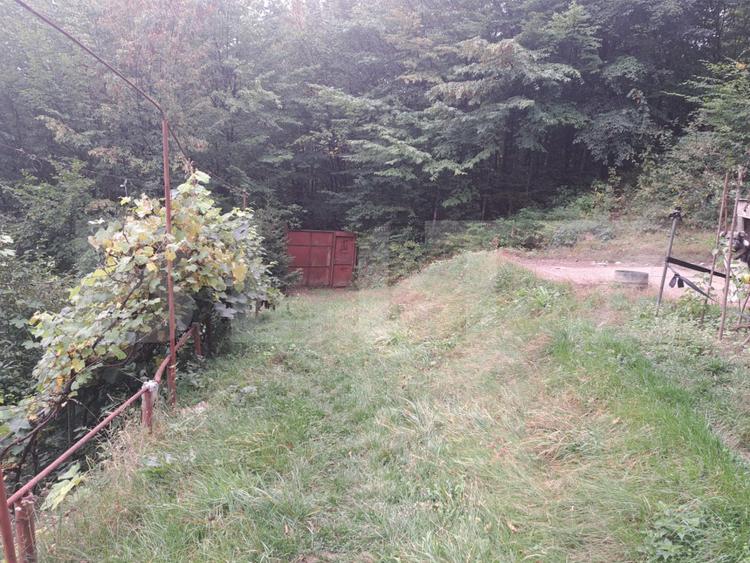 Casă de vânzare – Colonia 1 Mai 65.000 EURO