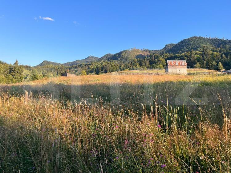 Teren intravilan de 10 ari cu vedere la lac, Colibița - 3