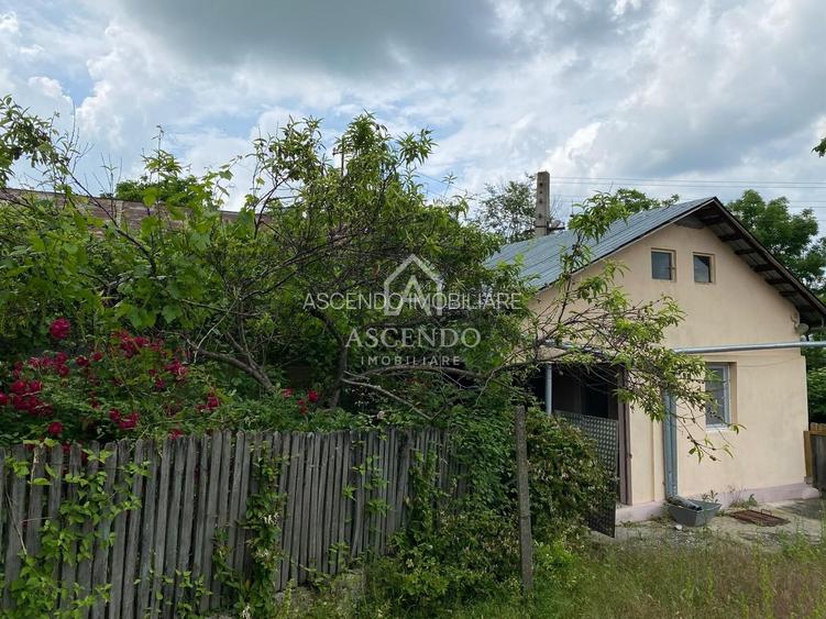 Domeniu 15.900 mp în Fințești | Casă + Investiție Dealu Mare - 6