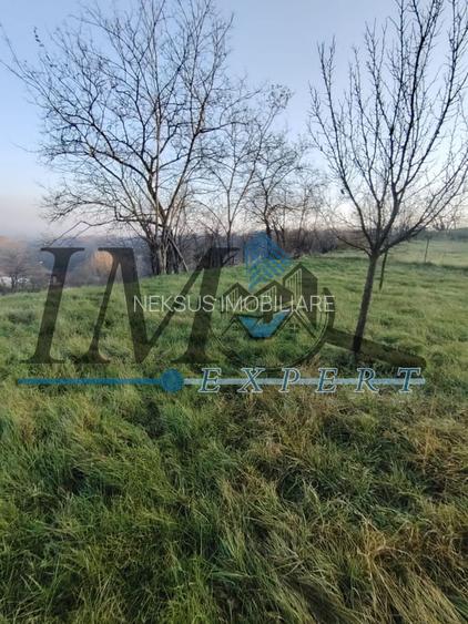 Teren intravilan în Paclisa 1785mp. - 7