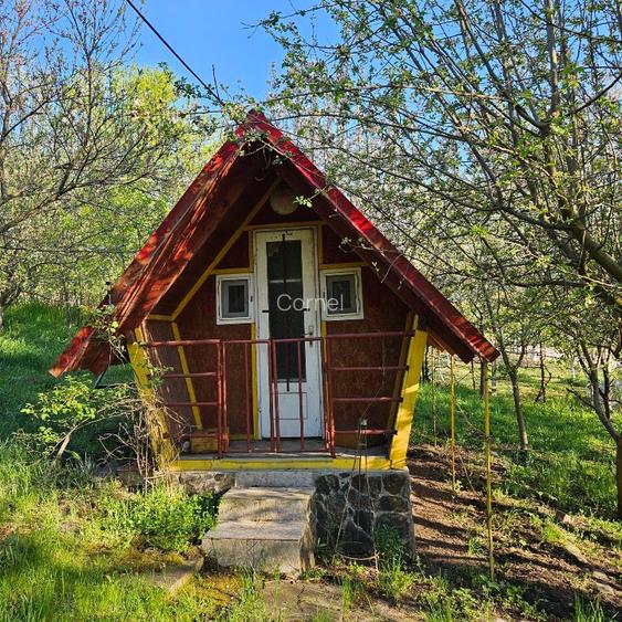 Proprietate 4200 mp Căndărăi cu cabană, livadă și anexe - 4