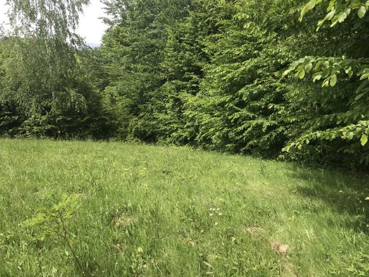 Vand teren in Albestii de Muscel faneata-pasune, partial impadurit