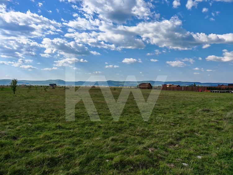 Teren investitie 12600mp, front 56m la asfalt, vedere munte. Rezerva o vizionare