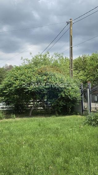 Domeniu rural, gospodarie/multifunctionala cu casa, livada, vie - 47