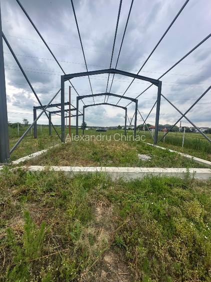 Vand teren intravilan 2000 mp, deschidere DJ602, constructie hala începuta - 10