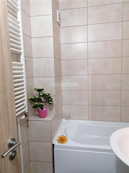 Apartament 2 Camere Alexandru cel Bun - Parcul Voievozilor - 16