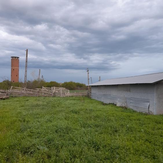 OPORTUNITATE! FERMA FUNCTIONALA, CASA RENOVATA SI TEREN 5HA