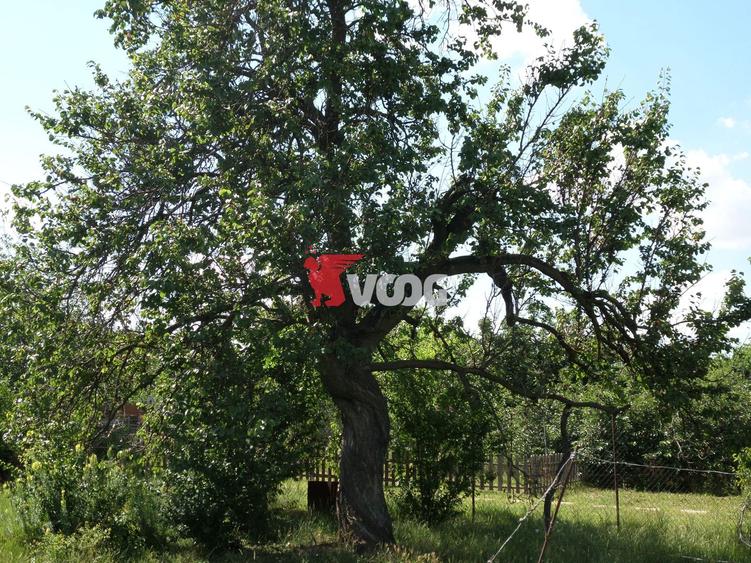 Teren intravilan | 2.810 mp|18ml|Zona Fratelia|