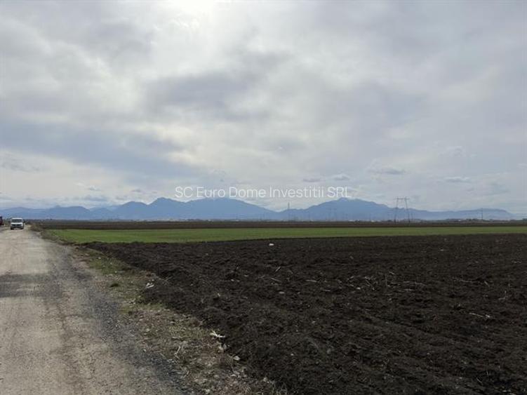 Teren  pentru depozitare sau activitati industriale langa DN 11  - 6