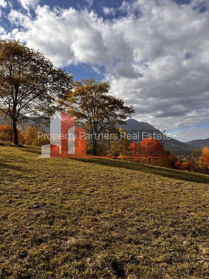 Teren intravilan 500 mp | Tohanița, Bran | Vedere  | Ideal pentru caban - 5