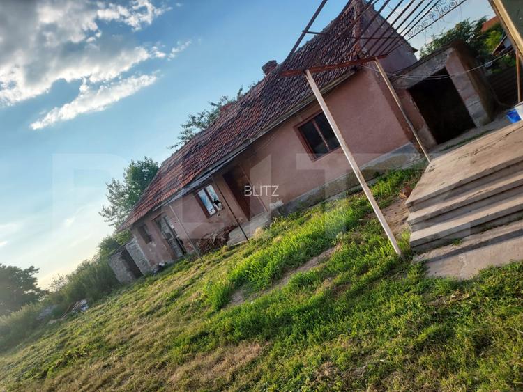 Casă cu teren 28,67 ari Botiz - 4