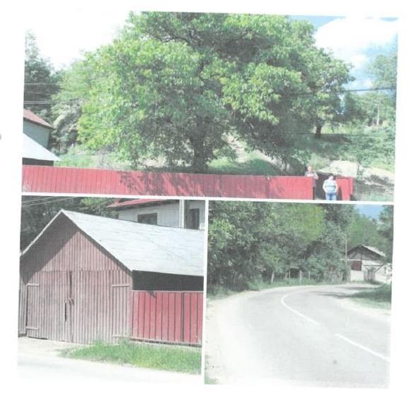 Casa + teren de vanzare in Sat Sindrilari, Com. Reghiu, Jud. Vrancea
