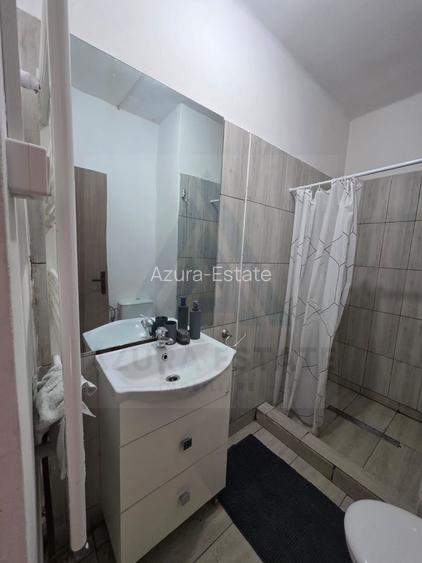 Studio la curte utilat complet cu terasa  zona Lazaret - 14