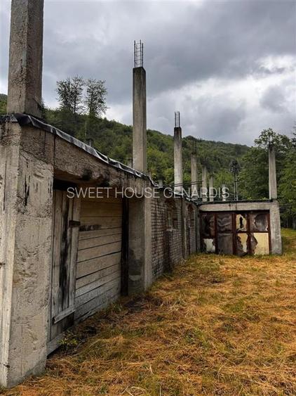 Oportunitate de investitie Cabana Cartisoara Zona Turistica - 40