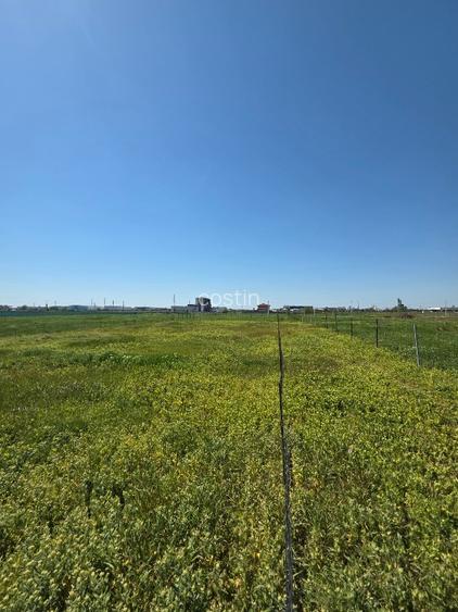 TEREN DEZVOLTARE IMOBILIARĂ – CHIAJNA - 3