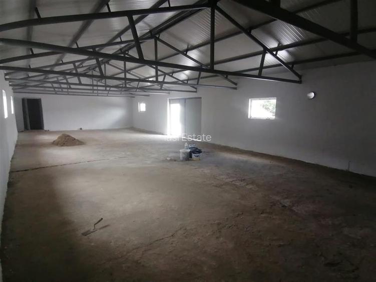 Hala 550mp zona Lunca Cetatuii - Dumbrava - 6