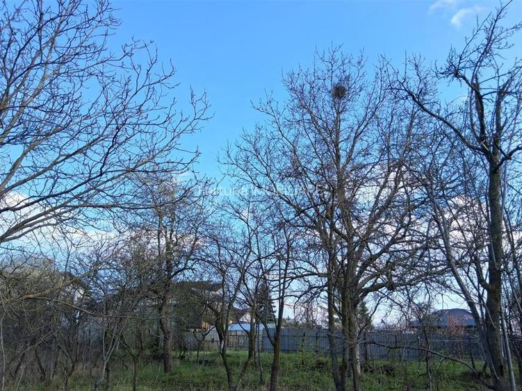 Vanzare teren intravilan 3715 mp – ideal pentru dezvoltare rezidentiala - 9