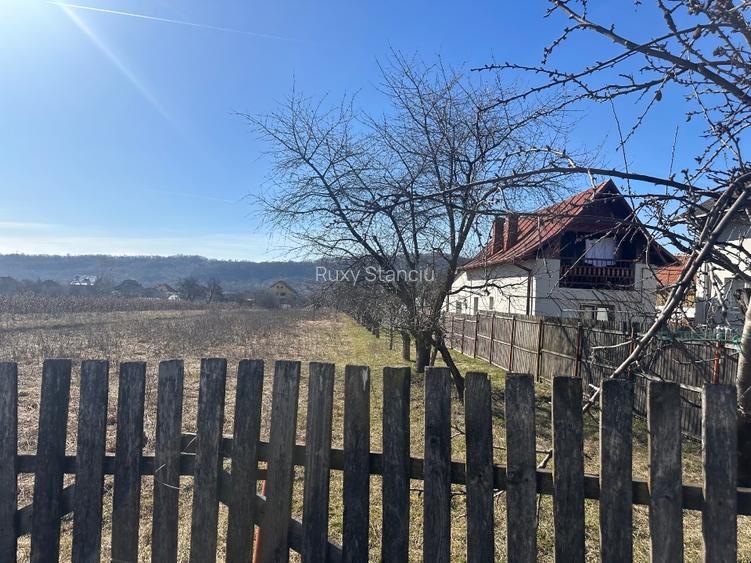 vânzare – 2.581 mp, zonă liniștită, aproape de Curtea de Argeș - 5