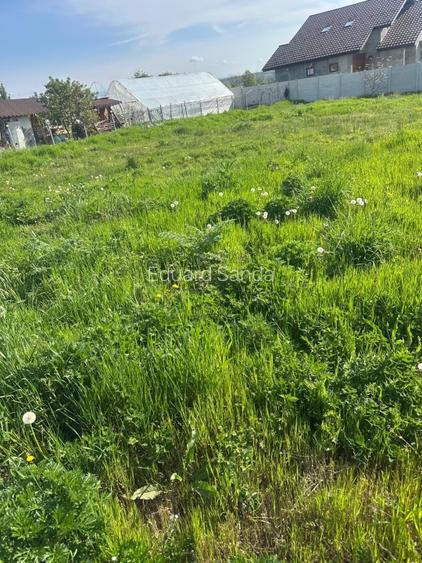 Teren de vanzare Târgu Jiu  - 7