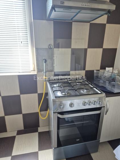 Apartament cu gradina, foisor si bucatarie de vara in Vidra - 9
