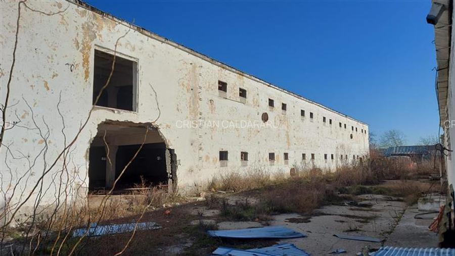 Vanzare depozit/hala/spatiu industrial Buftea -Crevedia - Butimanu - DN1A, Dambo - 3