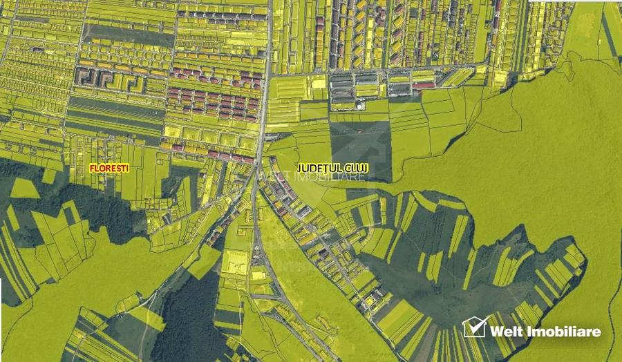 Teren intravilan in Floresti, Valea Sanaslaului - 3