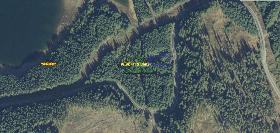 Teren /Obarsia Lotrului /DN 7A - 3