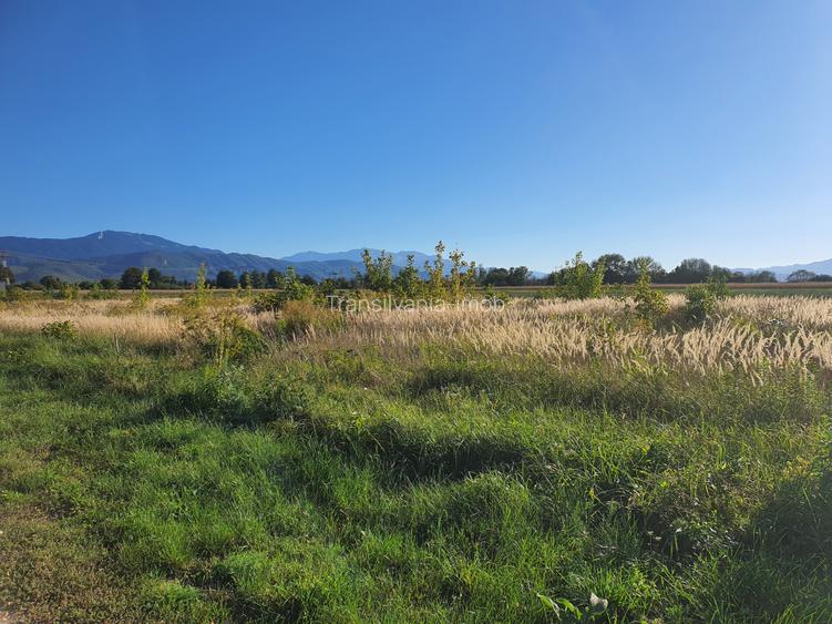 Teren rezidential Brasov – Stupini zona de case - 3