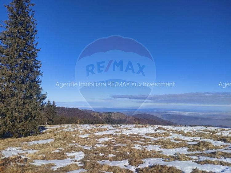 Teren  extravilan - 10