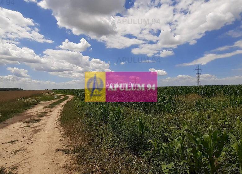 Teren 715mp în Snagov lângă Equestria - 27