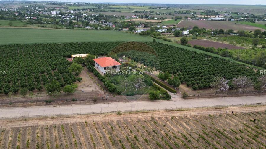 Casa - plantatie aluni  41300mp - 2