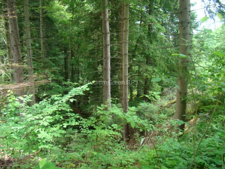 Proprietar vand teren in Predeal langa Complex Belvedere-Verona- Eden-comision 0 - 8
