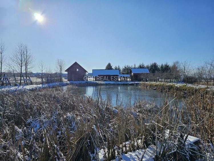 Casă de vacanță cu 6 camere + teren suprafață 7.384 mp, Brădet, Bihor - 3