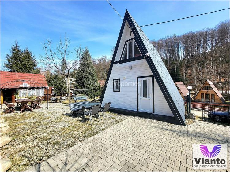 CASA DE VACANTA / PENSIUNE DE VANZARE – CARTISOARA – ZONA BALEA - 17