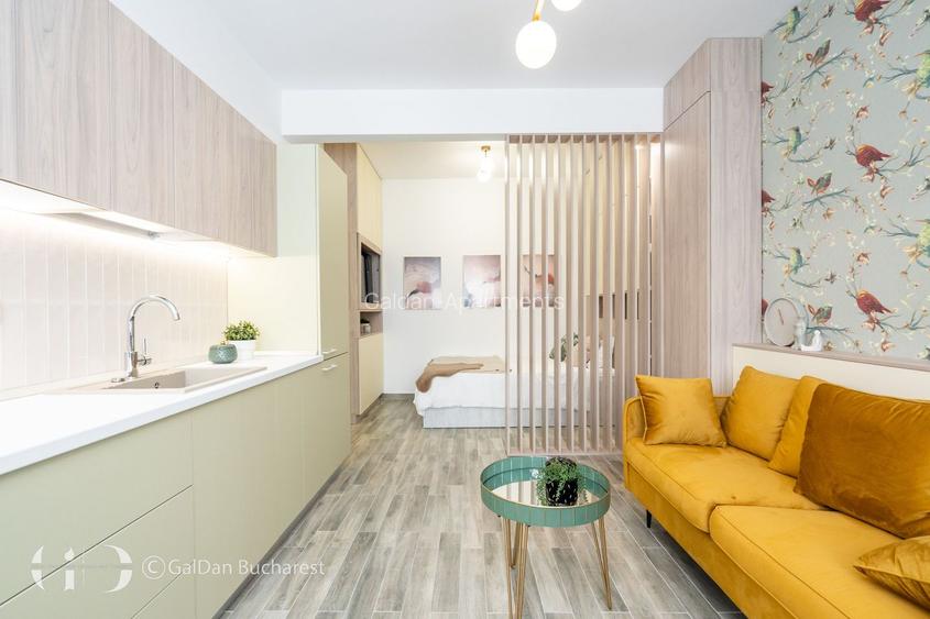 Studio elegant | Pitar Mos | GalDan Apartments - 2