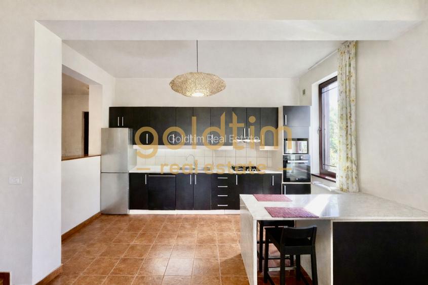 SUPERB/ VILA INDIVIDUALA/ GARAJ/ GRADINA MATURA - 30