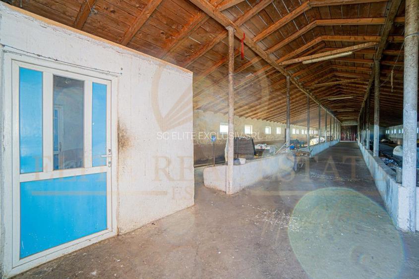 Tariverde - Ferma zootehnica functionala, 3 hectare teren intravilan! - 17