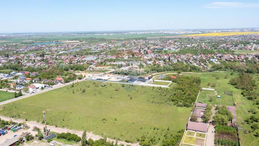 Domnesti- vanzare teren intravilan 10.000mp/ Soseaua Curtea Domneasca - 13