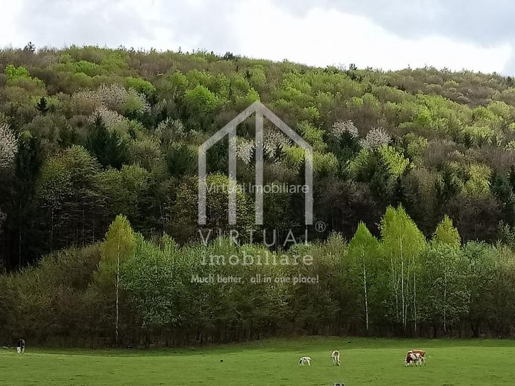 Teren intravilan de vanzare in Tocile, 3862 mp, priveliste spre padure - 9