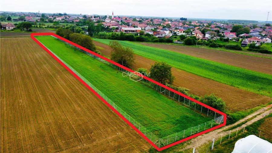 Teren 3.600 m² in Odoreu | 7 km de Satu Mare | 160 m de Principala - 7