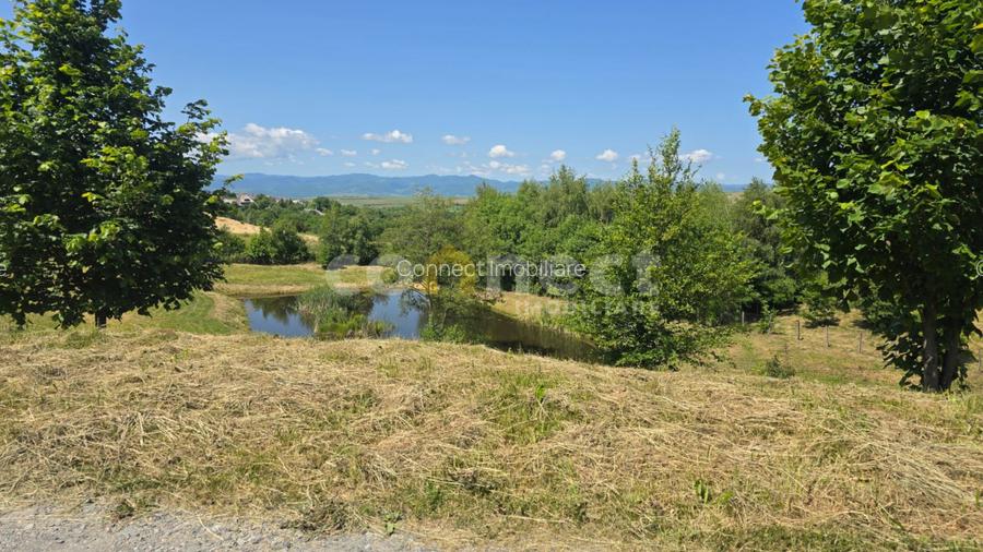 Vanzare Parcele Teren Intravilan - Cluj cu Autorizație și Utilități la Parcelă - 7