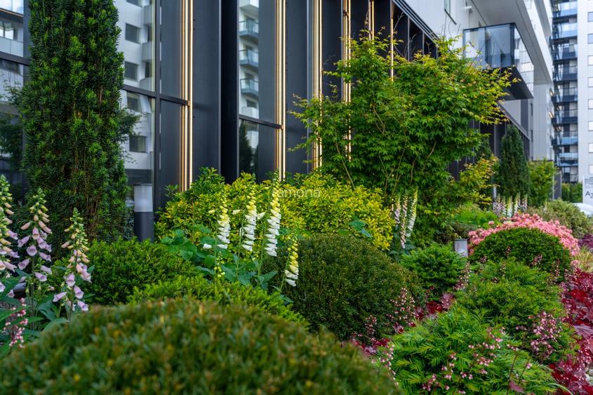 inchiriere spatiu Comercial/Birouri in anasamblul Cortina North  - 13