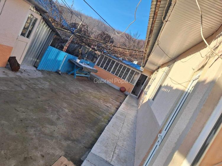Casa de vanzare in Horga, comuna Epureni - 8