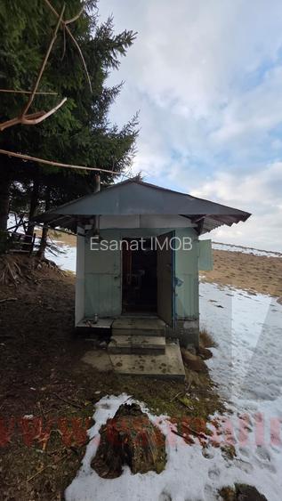 Proprietar | Teren Panoramic+PUZ + Cabana | Drumul Paltinisului |746mp - 17